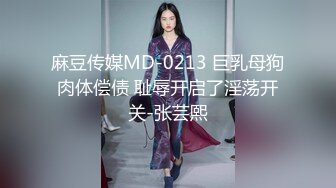 麻豆传媒MD-0213 巨乳母狗肉体偿债 耻辱开启了淫荡开关-张芸熙