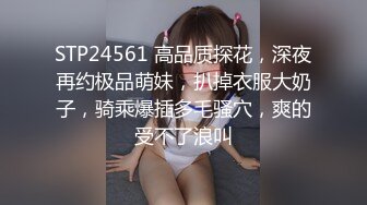 STP24561 高品质探花，深夜再约极品萌妹，扒掉衣服大奶子，骑乘爆插多毛骚穴，爽的受不了浪叫