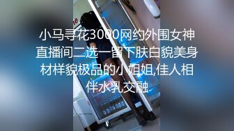 骚母狗的豹纹情趣小内衣