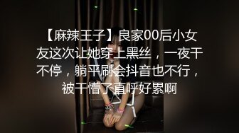 黑丝美女少妇 皮肤白皙 朋友们在外面唱歌 被拉进厕所后入猛怼