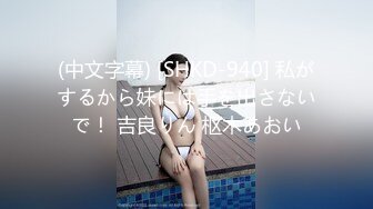 (中文字幕) [SHKD-940] 私がするから妹には手を出さないで！ 吉良りん 枢木あおい