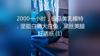 魔丽舞社 大合集【211V】 (10)