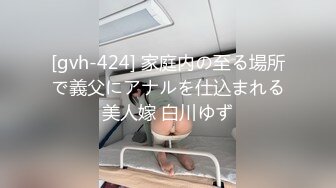 ⚫️⚫️91入会粉丝群专享，极品淫荡骚妻【爱丽丝】福利私拍第三弹，各种情趣制服，进出特写