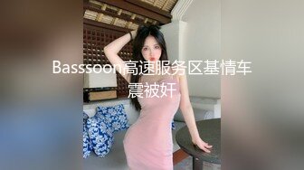 Basssoon高速服务区基情车震被奸