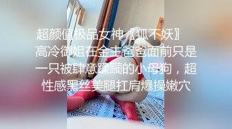 【柚子猫】极限整备：性爱病毒入侵的2B