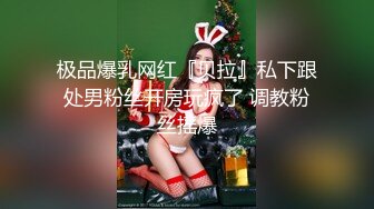 高颜值性感孕妇【小点点】超漂亮的极品孕妇天天都被干~丝袜美腿~骑乘自慰【92V】 (11)