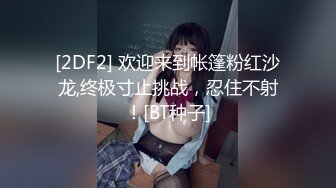 P站DickViciousDolls  我的洋娃娃老婆  最新大合集【66V】 (48)