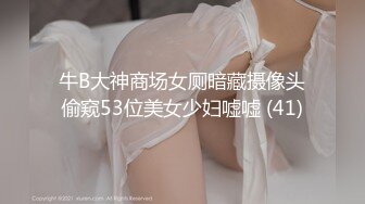 牛B大神商场女厕暗藏摄像头偷窥53位美女少妇嘘嘘 (41)