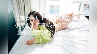 【骚妻网红】推特翘臀女神【小可爱】不雅私拍第二季旅游露出性爱野战公共场所啪啪