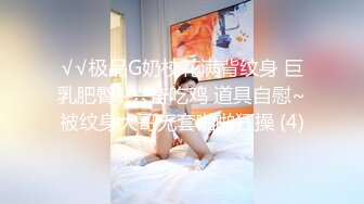 【OnlyFans】极品巨乳肥臀亚裔 NamiGoneWild合集 106