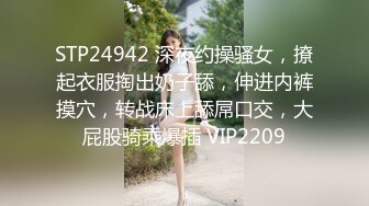 STP24942 深夜约操骚女，撩起衣服掏出奶子舔，伸进内裤摸穴，转战床上舔屌口交，大屁股骑乘爆插 VIP2209