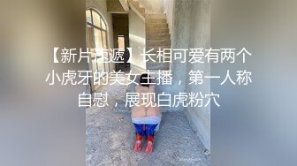 骚逼老婆的小穴