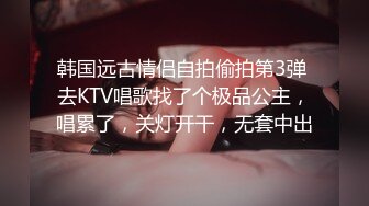 韩国远古情侣自拍偷拍第3弹 去KTV唱歌找了个极品公主，唱累了，关灯开干，无套中出