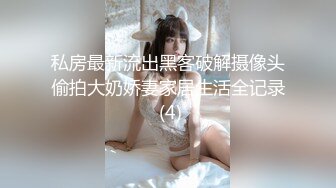 高铁上抽烟粉女