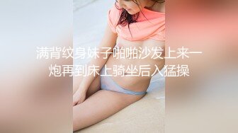 狐尾正太打桩机