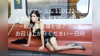 カリビアンコム 110122-001 洗練された大人のいやし亭 ～軟乳湯豆腐と活アワビをお召し上がりください～日向千尋