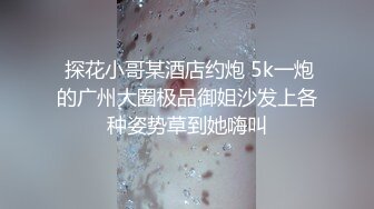  探花小哥某酒店约炮 5k一炮的广州大圈极品御姐沙发上各种姿势草到她嗨叫