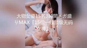  大物女優15名3時間メガ盛りMAX『15位一线顶级无码女神』