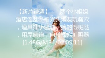 骚老婆，浪叫精品