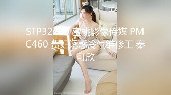 STP32200 蜜桃影像传媒 PMC460 贵妇诱惑冷气维修工 秦可欣