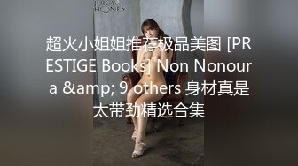 超火小姐姐推荐极品美图 [PRESTIGE Books] Non Nonoura &amp; 9 others 身材真是太带劲精选合集