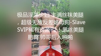 北京淑女黑丝开档2