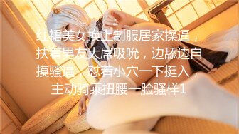 众筹购得摄影大师高端作品《罗颖传说中的VR虚拟女友》