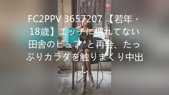 蜜桃传媒 pmtc-030 极品女上门服务-温芮欣