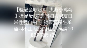 美璃亜～淫虐 (1)