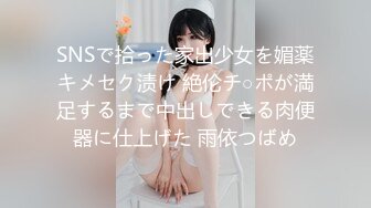 SNSで拾った家出少女を媚薬キメセク渍け 絶伦チ○ポが満足するまで中出しできる肉便器に仕上げた 雨依つばめ