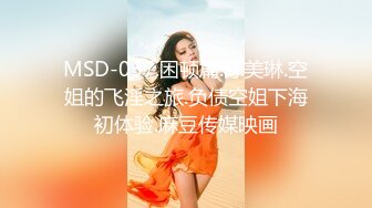 MSD-037.困顿篇.陈美琳.空姐的飞淫之旅.负债空姐下海初体验.麻豆传媒映画