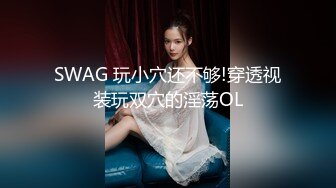 Al&mdash;索菲娅&middot;维加拉 爆乳女仆