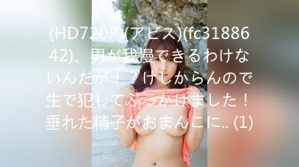 (HD720P)(アビス)(fc3188642)、男が我慢できるわけないんだが！？けしからんので生で犯してぶっかけました！垂れた精子がおまんこに.. (1)