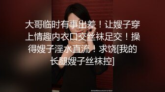 郊区车震小少妇