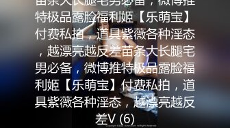 良家良家！长腿极品反差白嫩女友的挨操之作