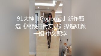 91大神『Goporno』新作甄选《高颜扫街实录》操遍红颜一姐 中文配字