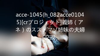 acce-1045(h_082acce01045)[crプロジェクト]義姉（アネ）のススメマゾ姉妹の夫婦交換