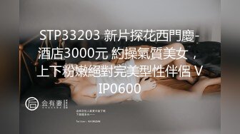 STP33203 新片探花西門慶-酒店3000元 約操氣質美女，上下粉嫩絕對完美型性伴侶 VIP0600